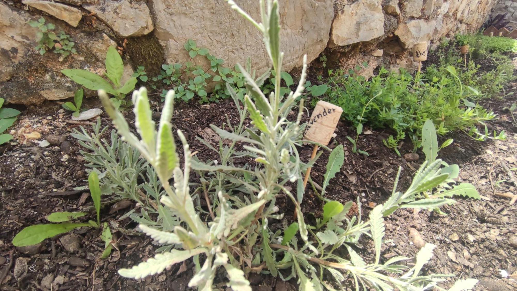הימארה Villa Vista מראה חיצוני תמונה