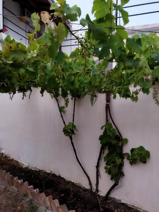 הימארה Villa Vista מראה חיצוני תמונה